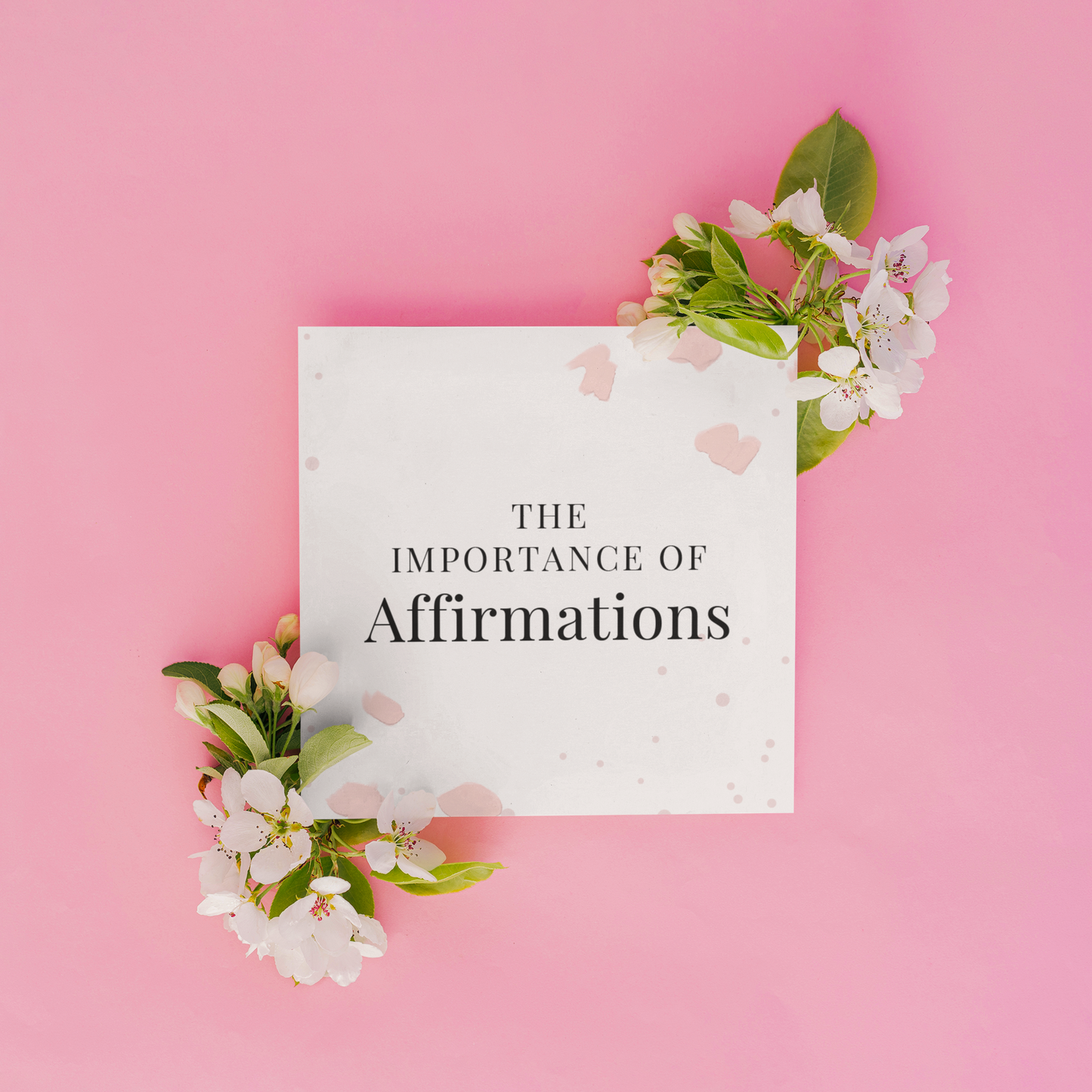 Planner Set: Importance of Affirmations Deck